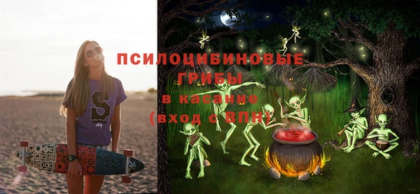 дурь Приозерск