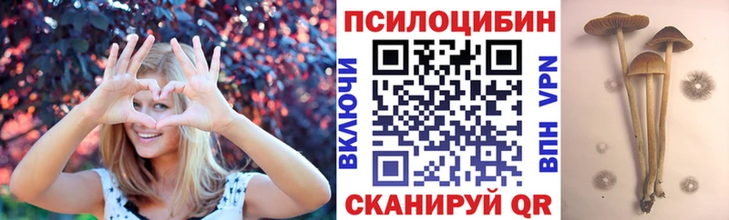 Галлюциногенные грибы Cubensis  сайты даркнета как зайти  Усть-Илимск 