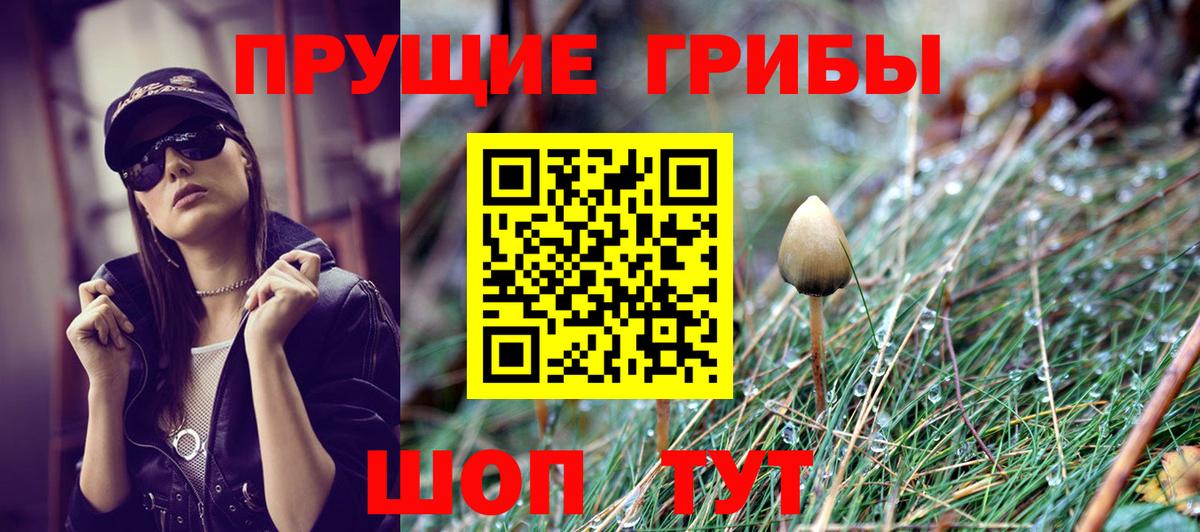 Галлюциногенные грибы мухоморы  Вход с VPN  Усть-Илимск  Галлюциногенные грибы Psilocybine cubensis 